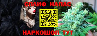 МДПВ Владивосток