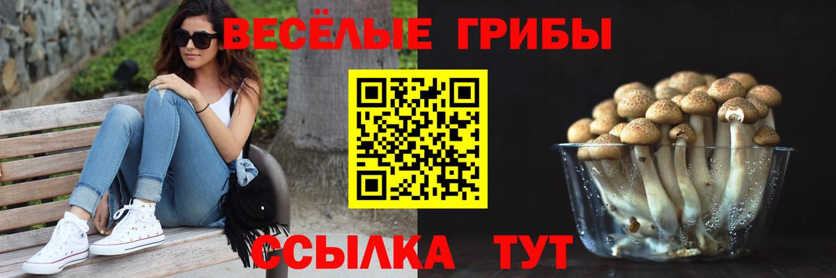 Галлюциногенные грибы MAGIC MUSHROOMS  Псилоцибиновые грибы Magic Shrooms  Кондопога  Вход с VPN 
